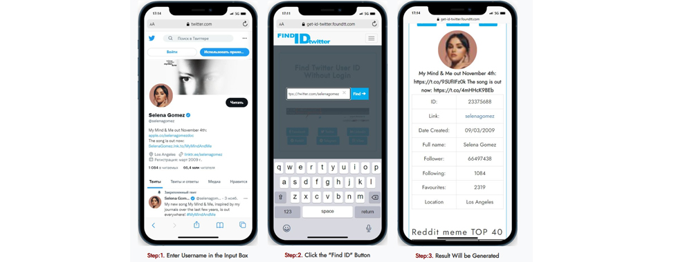 Capturas del sitio, formulario de búsqueda y resultado del script